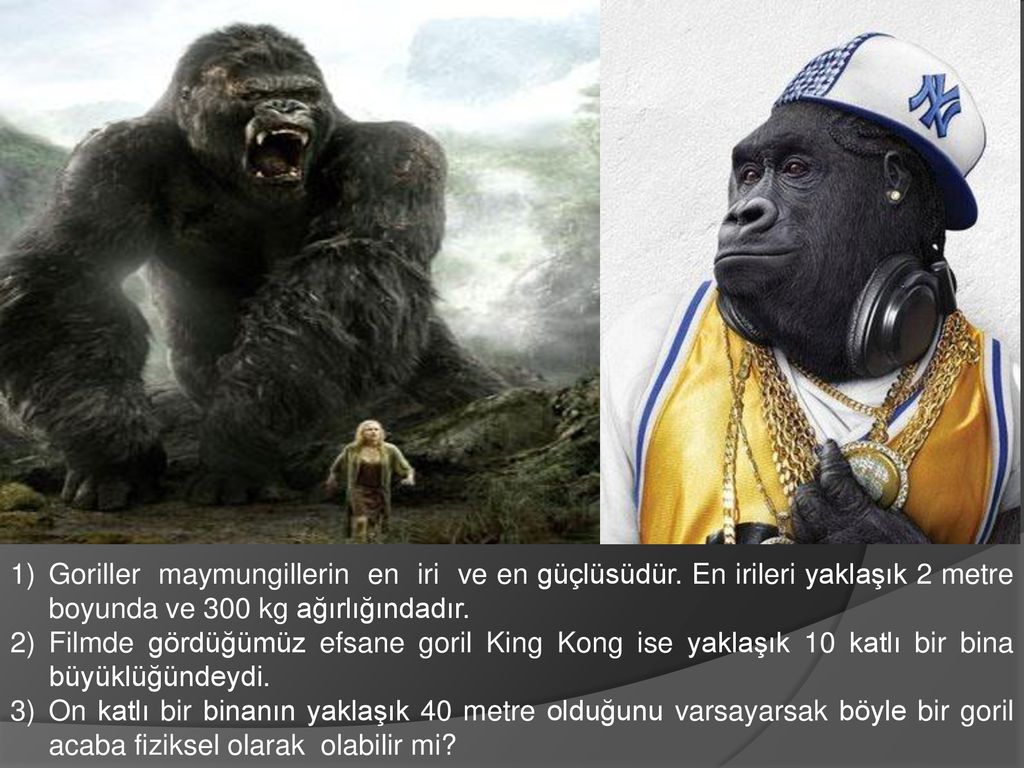 El King Kong real existió y se extinguió hace 100.000 años ...